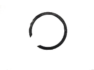 Fuller Snap Ring Part Number 19198